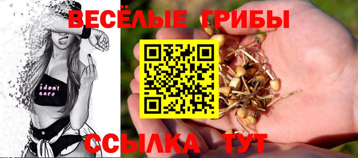 Псилоцибиновые грибы Psilocybine cubensis Сургут
